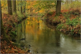 <p>Šluknovsko - Rožany</p>
